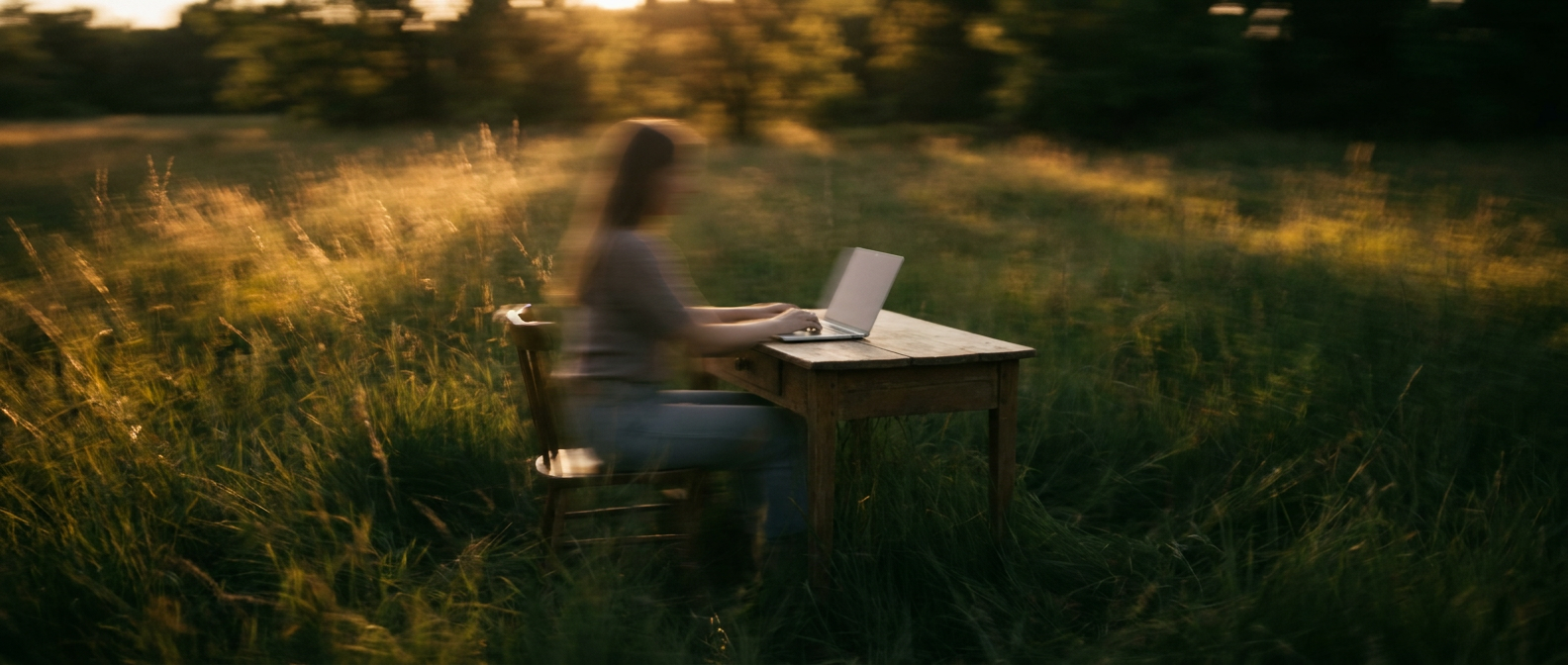 Working calmly at a desk in a golden field